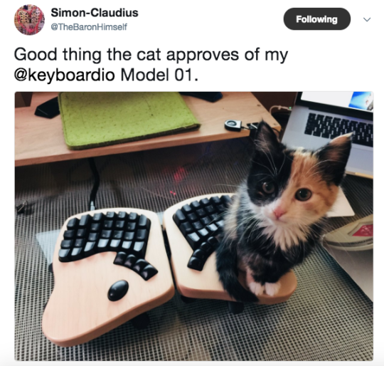 Have no fear - The Model 01’s unique shape and layout is cat-approved.