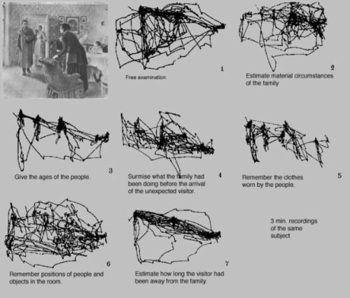 kinderfunk:how the eye moves