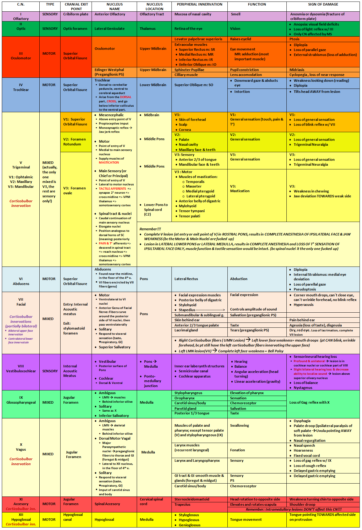 Cranial Nerves Chart