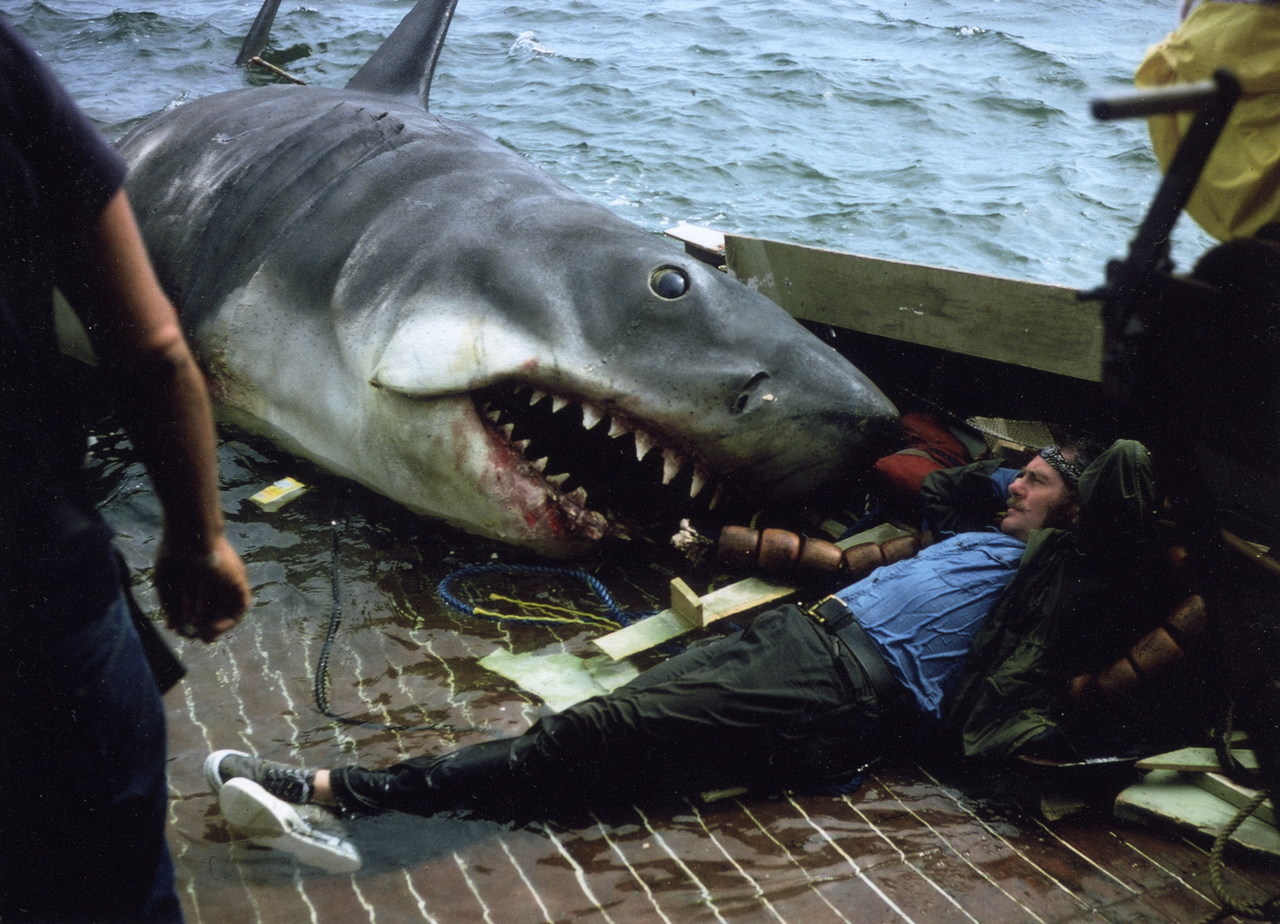 talesfromweirdland:
“A serene moment on the set of JAWS (1975).
”