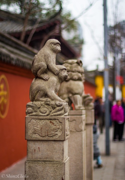 chengdu tibetan streetphotography chinatravel photographers on tumblr