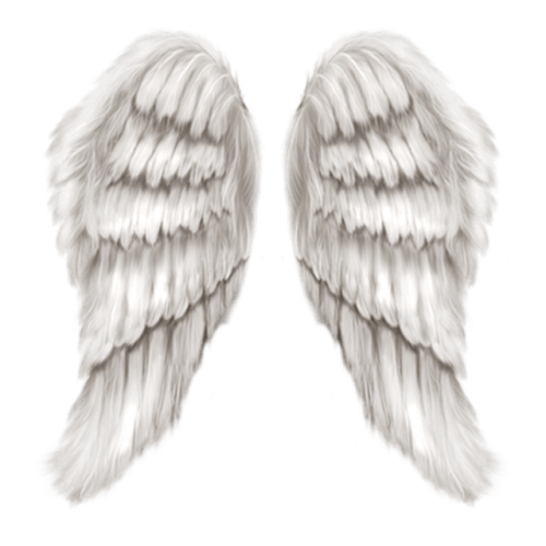 angel wings overlay | Tumblr