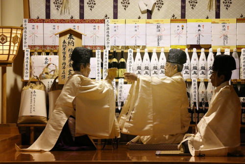 fujiwara57:Izumo taisha 出雲 大社 le lieu où se réunissent les...