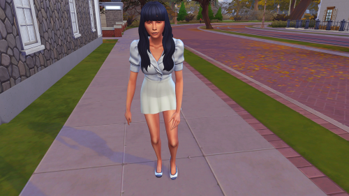 kinsasims