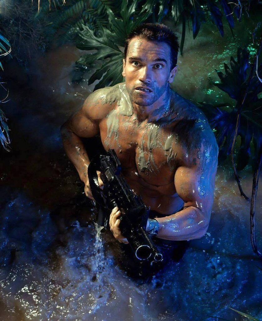 arnold schwarzenegger 1987