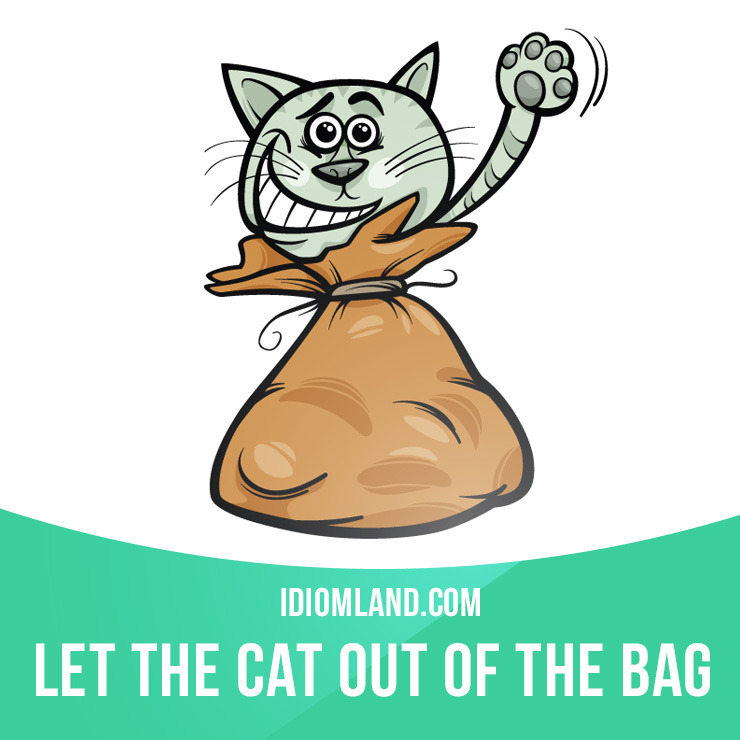 Idiom Land Let The Cat Out Of The Bag Means To Reveal A