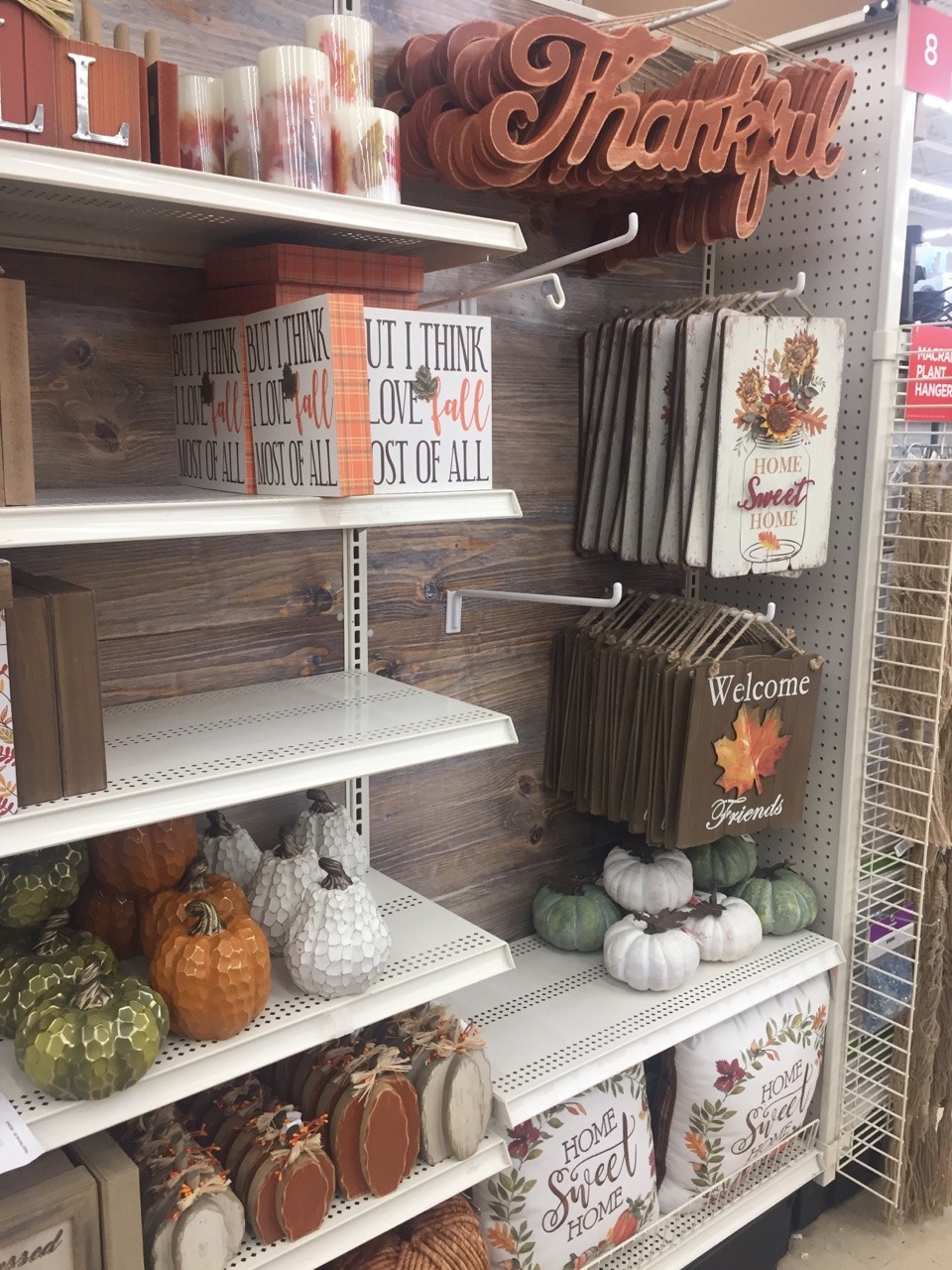 July 3, 2018 at Michaels Craft store! Fall decor...