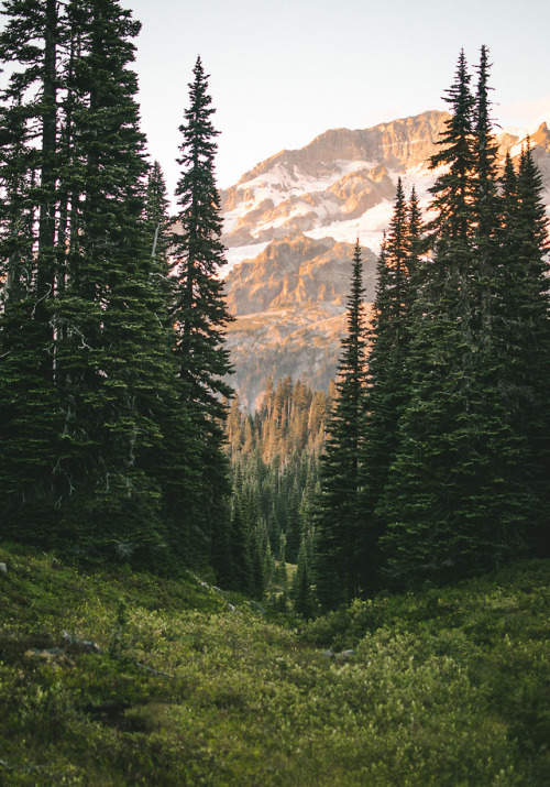 90377:Sunset at Rainier by Graham Spencer // Mines of the...