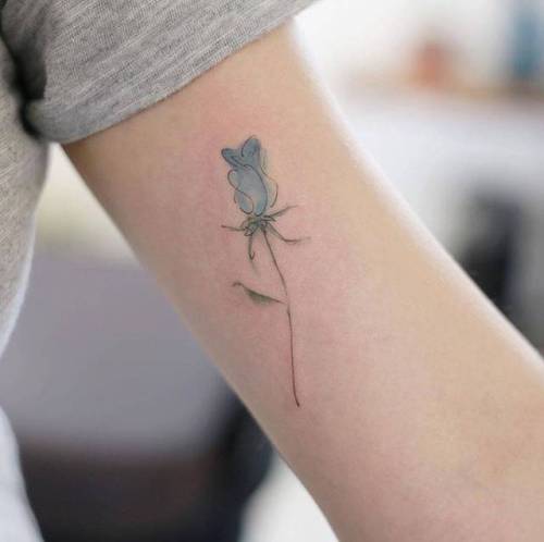 By Doy, done at Inkedwall, Seoul. http://ttoo.co/p/36465 flower;sketch work;small;inner arm;tiny;rose;ifttt;little;nature;doy