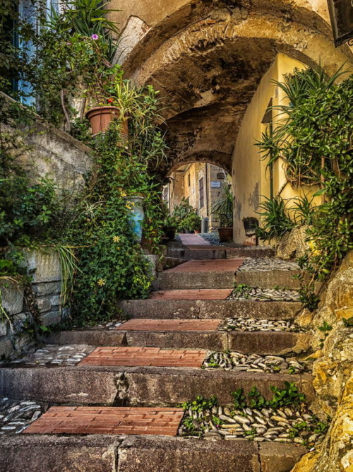 visitheworld:Cervo / Italy (by Peter Downes).