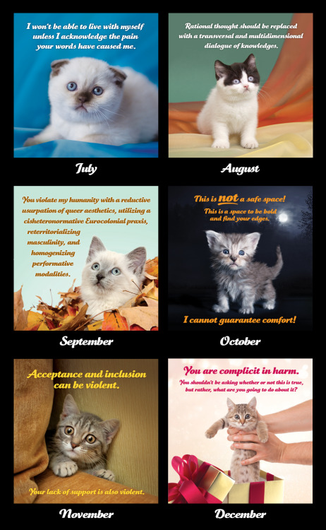 ANNOUNCING THE 2020 SOCIAL JUSTICE KITTENS CALENDARIt’s 2020,...