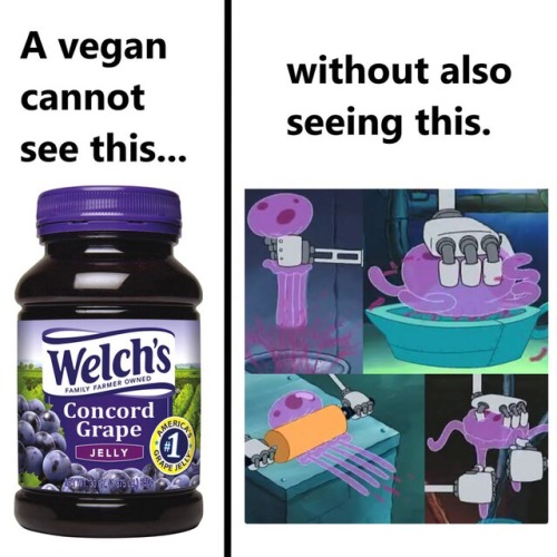 thebitchinthebasement
