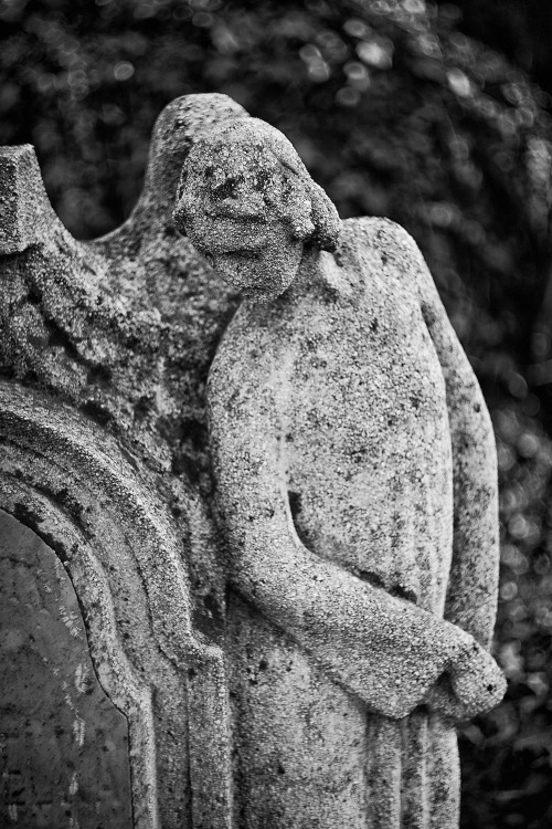 agnesmezosi:44/366 Cemetery angel  Photo By...