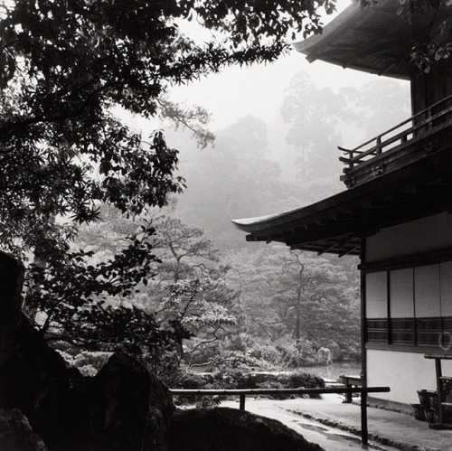 fujiwara57:Werner Bischof (1916 -...