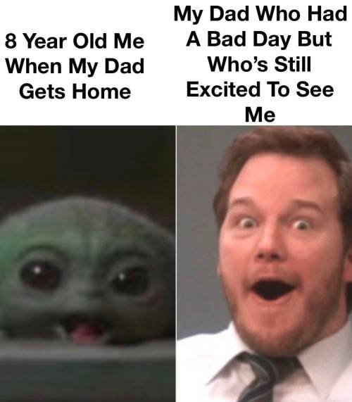the-memedaddy