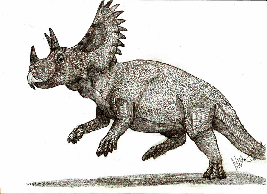 cosmo ceratops