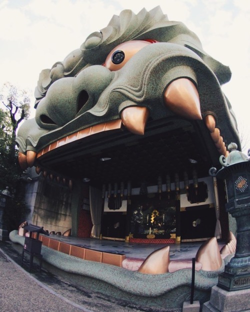 osaka amerikamura osaka castle dotonbori tsutenkaku shinsekai kansai taito izakaya sararyman photography photographers on tumblr photojournalists on tumblr photojournalism streetphotography 大阪 japan japanese people culture bokeh mexican mexico 写真 写真家