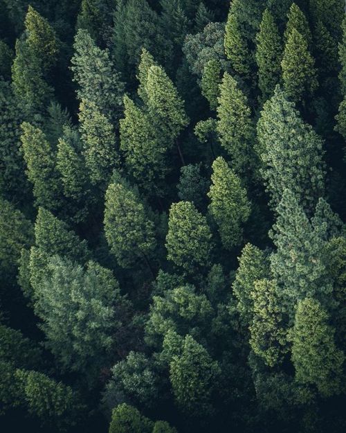 quiet-nymph:Photography by Tobias Hägg