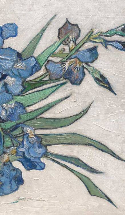 inividia:Vase with Irises, c. 1890. Vincent van Gogh