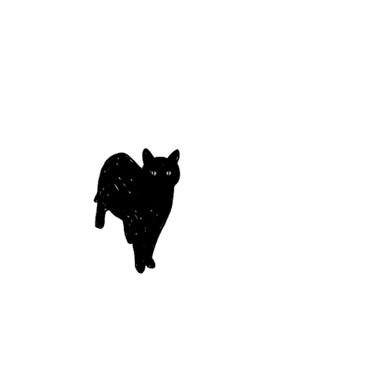 blackcat on Tumblr