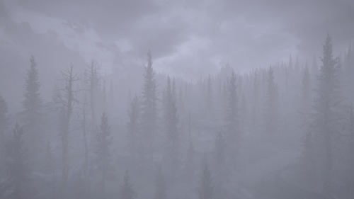 belmontswhip