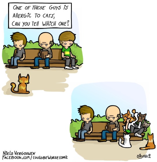 By Could Be Worse
