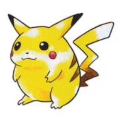 mocchi mocchi pikachu fat