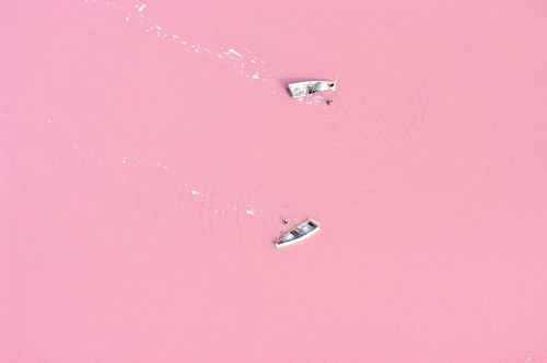 nicolaporter:Lake Hillier, Australia