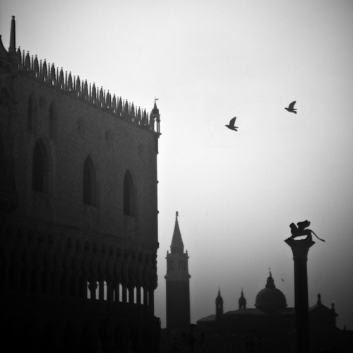 haiku poem poets on tumblr bw photography photography lensblr lensblr-network luxlit PWS - photos worth seeing original-photographers artists on tumblr fine art Venice italy stephen mcnally