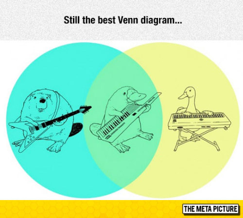 srsfunny:Brilliant Venn Diagram