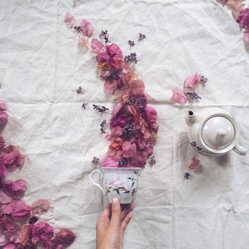 mymodernmet:Toppled Teacups Overflow with Dried Leaves and...