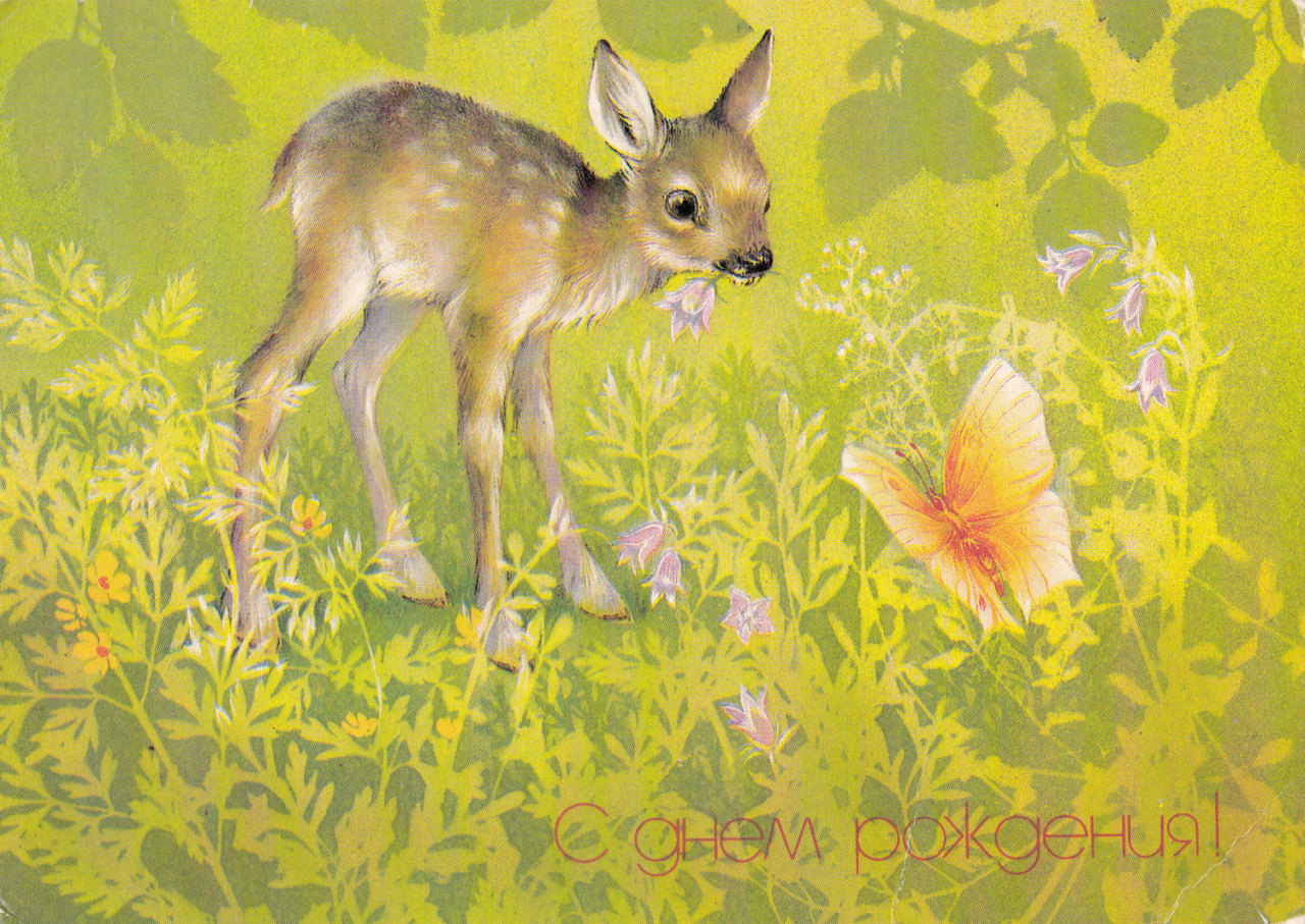 Baby Deer Birthday Postcard / Vintage Russian Postcard (1986) / artist Isakov by SovietPostcards (3.00 USD) http://ift.tt/1Skv5Zg