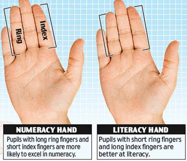 2d 4d The Ratio Between Index And Ring Finger — Bmd Love Blog