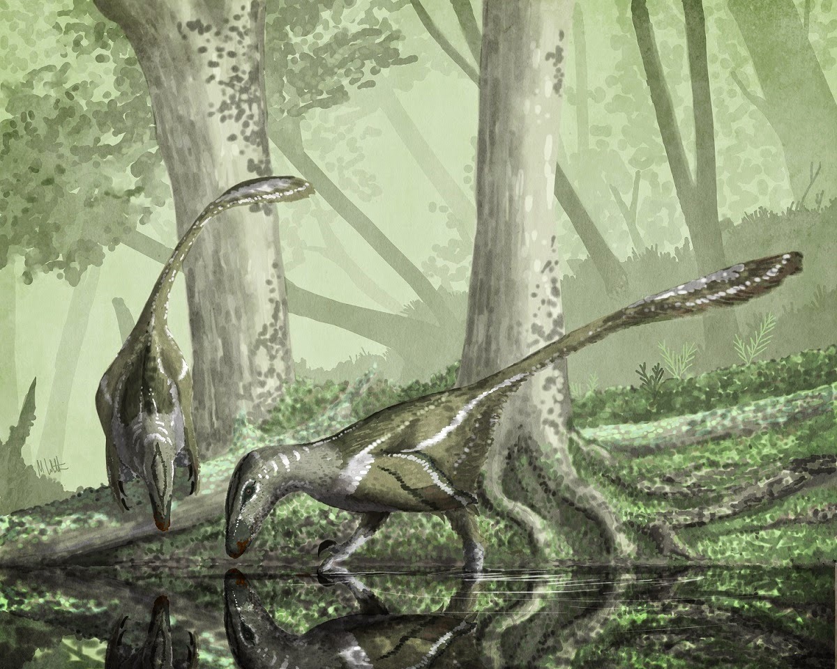 Deinonychus pair in the swamps, by Mark Witton | Print : “(...) The Early Cretaceous dromaeosaur Deinonychus has been restored so many times that it