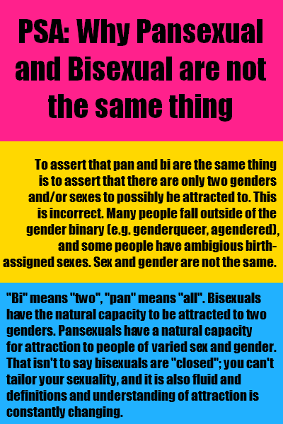 Difference Between Bisexual And Pansexual Tumblr Citas Romanticas 