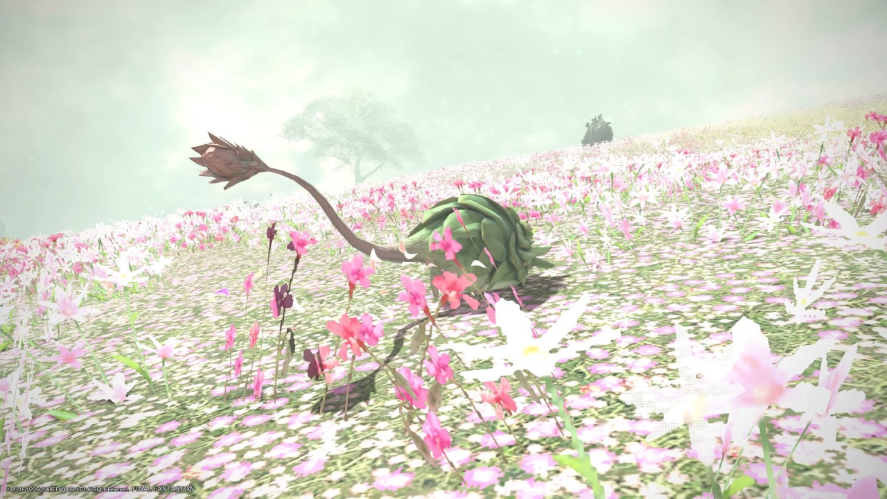 Hinata Hina Blog Entry イル メグの気になるモンスター １ Final Fantasy Xiv The Lodestone