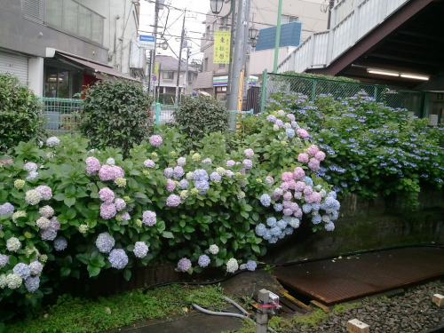 abiotic:東松原駅ホ