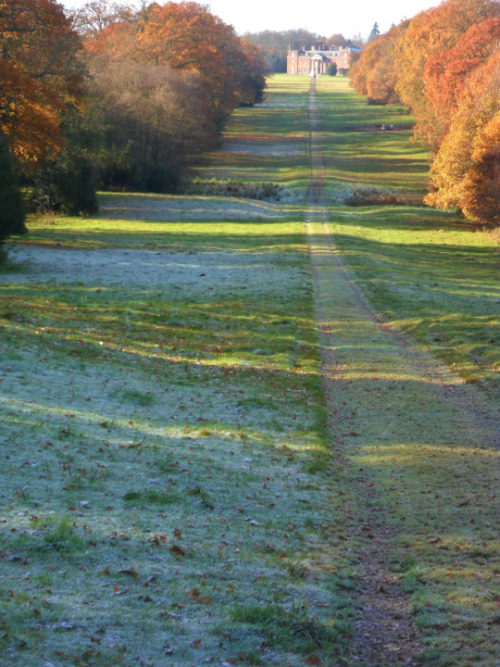 unfugbilder:Vielleicht ist es noch zu früh für Herbstfotos....