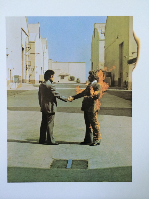 f0rrestgrump:Pink Floyd- Wish You Were Here