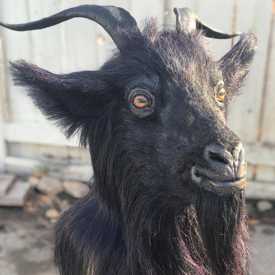 â€ªWeâ€™re live! My latest goat mask is available for... - Feral Works' Tumblr