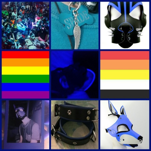 lgbt-aesthetics:Lithosexual Gay + Puppy Play Dark Blue...