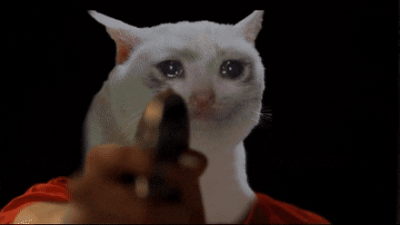 crying cat on Tumblr