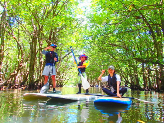 夏休み人気のアクティビティツアー体験で遊べる石垣島・西表島へ行こう！西表島ケンガイドが家族旅行におすすめのアドベンチャー体験をご紹介します。SUP・スタンドアップパドルボード・カヌーでマングローブクルーズ、トレッキングでジャングル探検滝めぐり＆人気の水遊びキャニオニングで遊びつくそう！