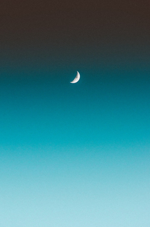 drxgonfly:Moon (by Anthony Harle)Photographer’s Website