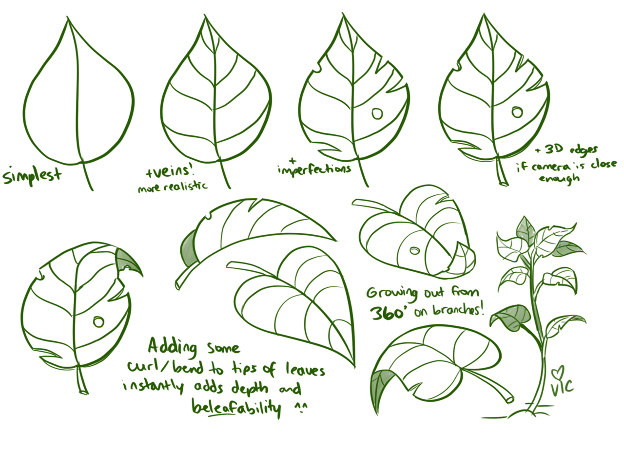 How Do You Draw A Leaf