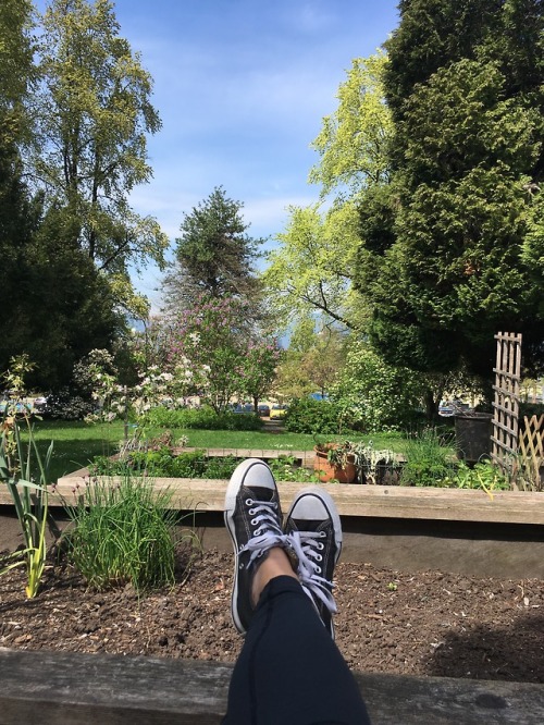 Thursday, May 3, 2018.Afternoon naps in the garden should be...