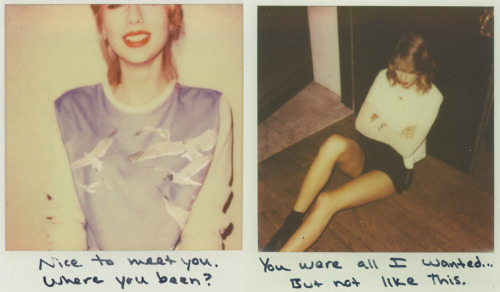 brisalovetaylor