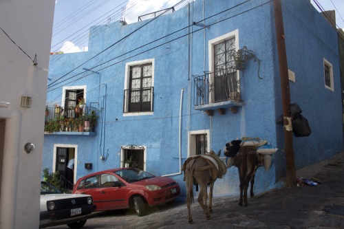 jacobturmellephotography: Jacob Turmelle. Guanajuato, Mexico....