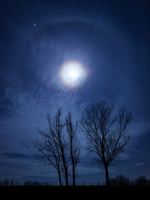 Lunar Halo above Bugac, Hungary