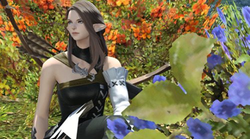 voidwife
